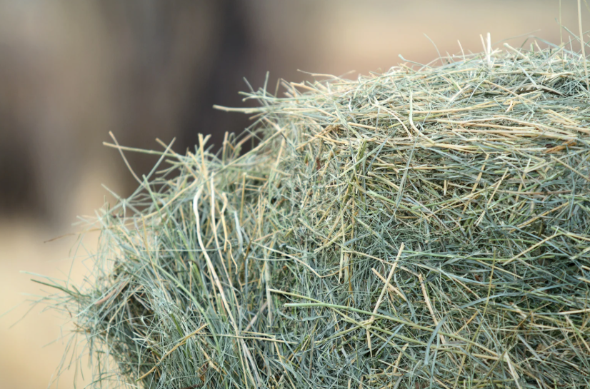 prix d'une botte de foin en 2026