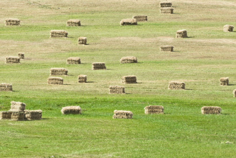 prix d'une botte de foin en 2026