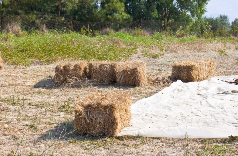 prix d'une botte de foin en 2026