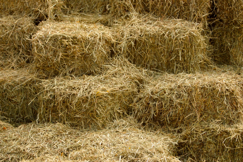 Quel est le prix d'une botte de foin en 2026