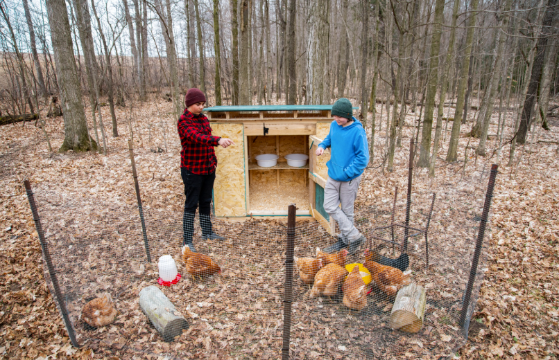 Quelle est la taxe pour un poulailler en 2026
