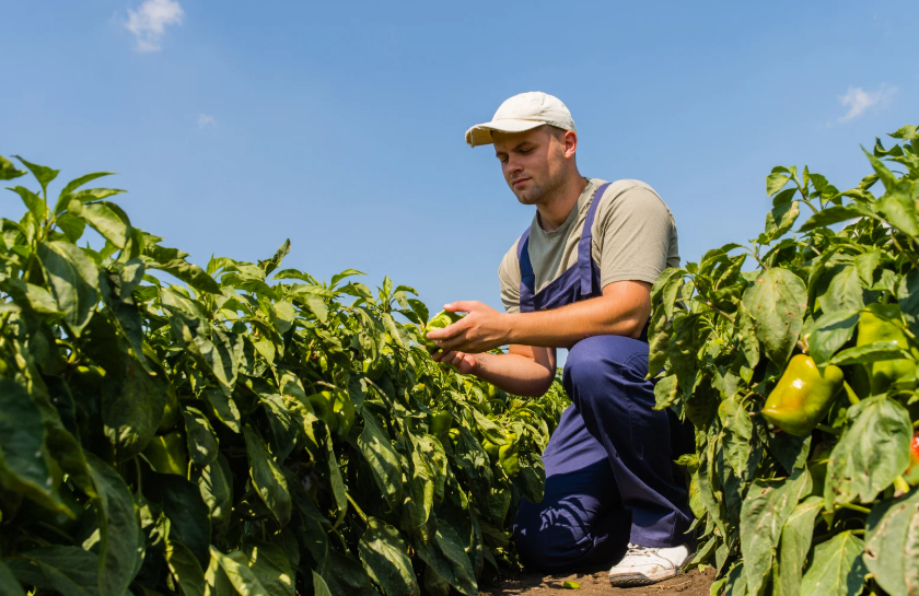 Combien gagne un fermier en 2026