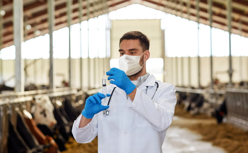 Quelles sont les maladies des vaches